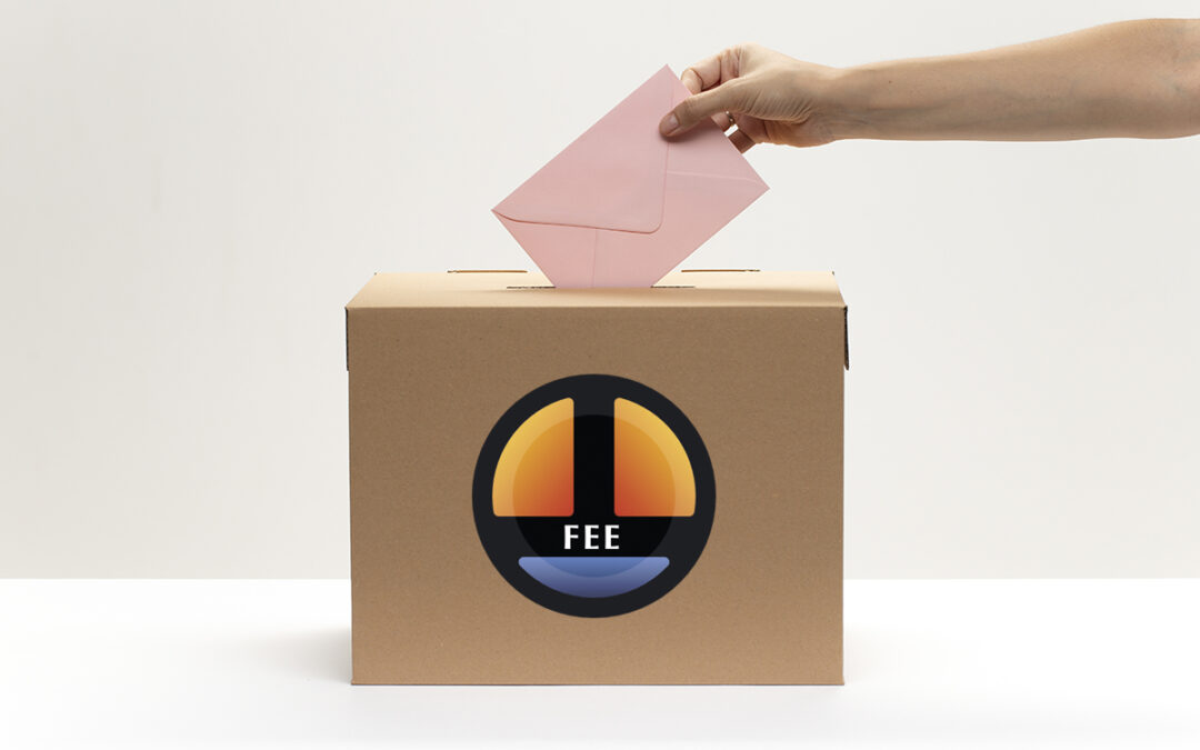 Elecciones en la Federación Española de Espeleología (FEE)