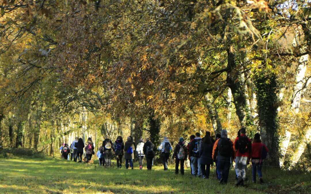 COÑECE E CAMIÑA | VETERANOS ACTIVOS | ROTEIRO DA AUGA-GUITIRÍZ (Lugo).XANTAR FIN DE TEMPADA | DOMINGO 15 DE DECEMBRO DE 2024