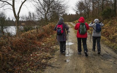 COÑECE E CAMIÑA | RUTA SETE MUIÑOS- ENCORO DE XAN XOAN – BALNEARIO DE PARDIÑAS – GUITIRÍZ (LUGO) | DOMINGO 26 DE XANEIRO DE 2025