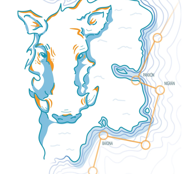 ORIENTACIÓN | 1º Galicia-O Meeting | O Val Miñor (Pontevedra) | 5 y 6 de abril 2025