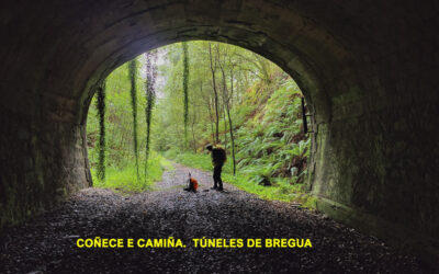 COÑECE E CAMIÑA | TÚNELES DE BREGUA – CULLEREDO (A Coruña)  |  DOMINGO 6 DE ABRIL DE 2025