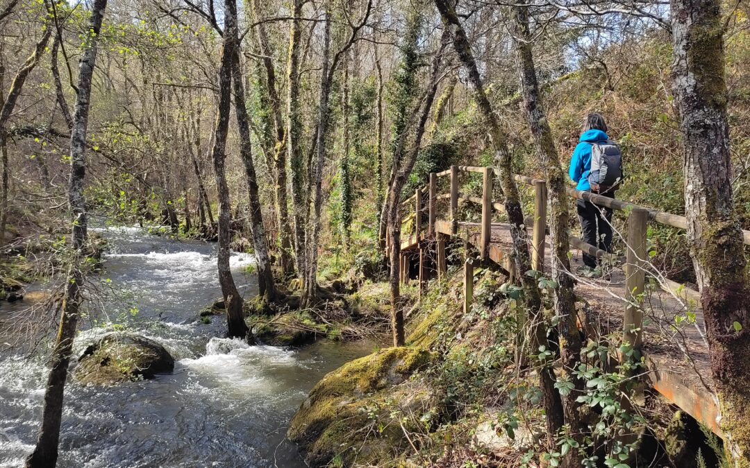 COÑECE E CAMIÑA | RÍO MERA – ALTAR DE ADAI (Lugo) | 14 DE SETEMBRO DE 2025