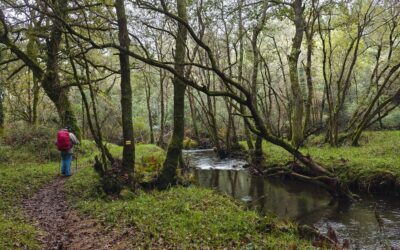 VETERANOS ACTIVOS | CABALLEIRA PEDRA VIXIA – BAIO (A Coruña) | 17 DE SETEMBRO DE 2025