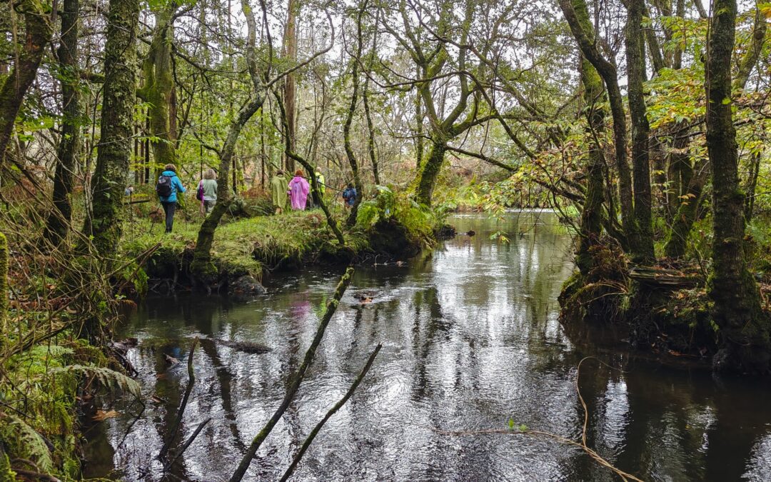 VETERANOS ACTIVOS | CABALLEIRA PEDRA VIXIA – BAIO (A Coruña) | 17 DE SETEMBRO DE 2025
