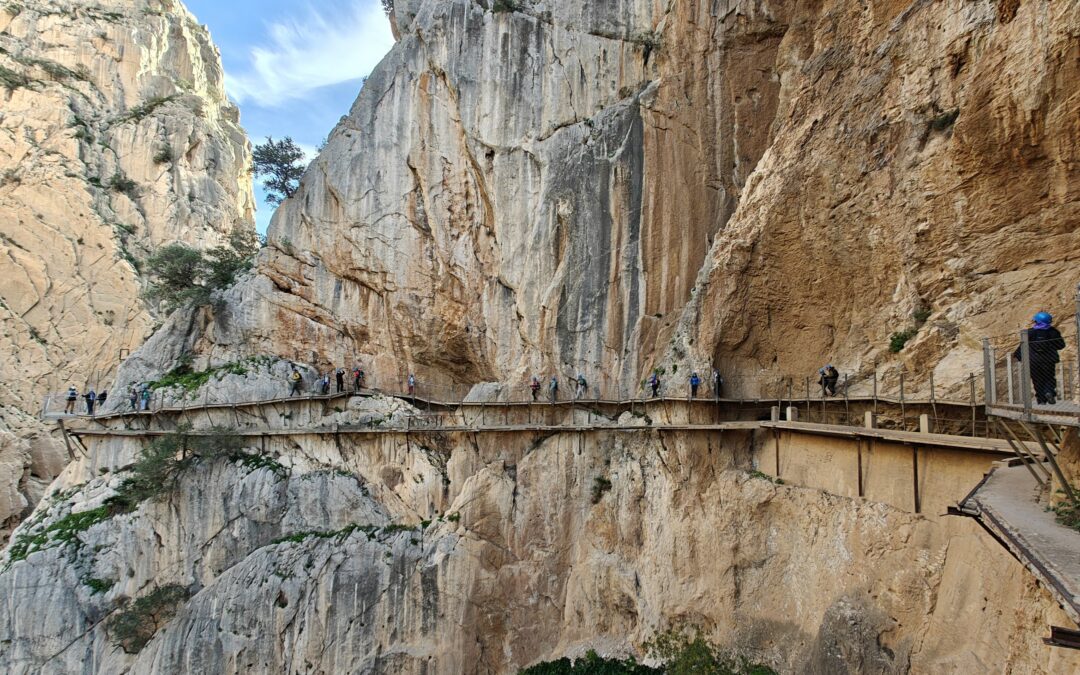 SENDERISMO | AVENTURA Y NATURALEZA EN MÁLAGA | DEL 19 AL 23 DE ENERO DE 2026