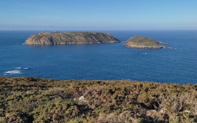 COÑECE E CAMIÑA | RUTA MALPICA – BEO | MALPICA (A Coruña) | DOMINGO 22 DE FEBREIRO DE 2026