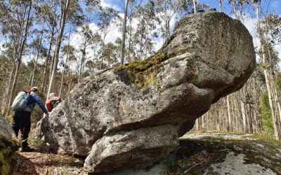 COÑECE E CAMIÑA | SERRA DE MONTEMAIOR | LARACHA E CERCEDA (A Coruña) | DOMINGO  27 DE SETEMBRO DE 2026