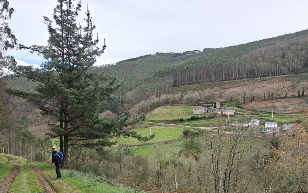VETERANOS ACTIVOS |ROTEIRO DE AVELINO DÍAZ | MEIRA (Lugo) | MÉRCORES 4 DE MARZO DE 2026