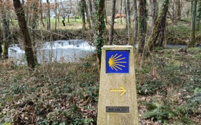 VETERANOS ACTIVOS | CAMINO XACOBEO DE INVIERNO | A POBRA DO BROLLÓN – MONFORTE (Lugo) | MIÉRCOLES 25 DE MARZO DE 2026