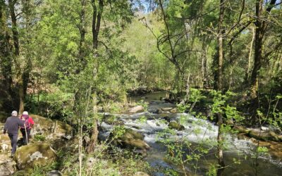 VETERANOS ACTIVOS | RÍO BARBANTIÑO – PUNXÍN (Ourense) | MÉRCORES 27 DE MAIO DE 2026