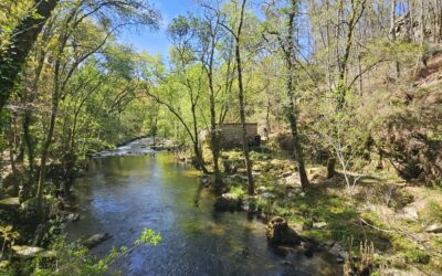 VETERANOS ACTIVOS | RÍO BARBANTIÑO – PUXÍN (Ourense) | MÉRCORES 27 DE MAIO DE 2026